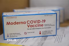 Vaccine ngừa COVID-19 của Moderna. (Nguồn: TTXVN)