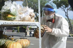 Chiến sỹ công an kiểm tra các mặt hàng tại điểm bán hàng đường 2-9 (quận Hải Châu). (Ảnh: Văn Dũng/TTXVN)