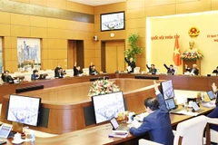 Ủy ban Thường vụ Quốc hội biểu quyết thông qua việc chuyển đổi phương thức đầu tư. (Ảnh: Trọng Đức/TTXVN)