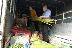 Tập kết nông sản của tỉnh Bến Tre hỗ trợ Thành phố Hồ Chí Minh. (Ảnh Công Trí/TTXVN)