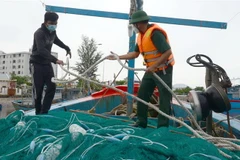 Bộ đội Biên phòng Đà Nẵng hỗ trợ ngư dân chằng chống tàu thuyền trước bão. (Ảnh: Quốc Dũng/TTXVN)