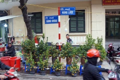 Chợ hoa Hàng Lược đã trở thành một nét sinh hoạt độc đáo của người dân phố cổ nói riêng và người dân Hà Nội nói chung. (Nguồn: Cand.com.vn)