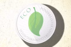 đồng tiền chung Eco của Cộng đồng Kinh tế Tây Phi (ECOWAS)