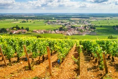 Một khu vực nông thôn ở Pháp. (Nguồn: Propertyguides)