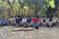 Những người bị bắt giữ cùng tang vật tại hiện trường. (Nguồn: Công an tỉnh Đồng Nai)