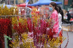 Người dân đi chợ hoa Hàng Lược. (Ảnh: Hoàng Hiếu/TTXVN)
