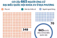 Cơ cấu 665 người ứng cử đại biểu Quốc hội khóa XV ở địa phương.