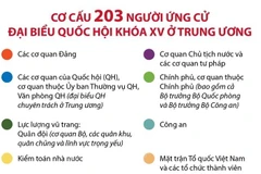 Cơ cấu 203 người ứng cử đại biểu Quốc hội khóa XV ở Trung ương.
