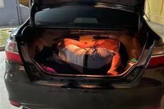 Đối tượng Lê Văn Tuấn trốn trong cốp xe để né chốt kiểm dịch. (Ảnh: TTXVN phát)