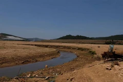Lòng hồ Đan Kia ở phía thượng nguồn bị thu hẹp thành một dòng nước nhỏ trong mùa khô năm 2021. (Ảnh: Nguyễn Dũng/TTXVN)