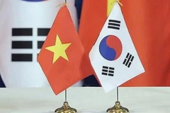 Ảnh minh họa. (Nguồn: Maika.com.vn)