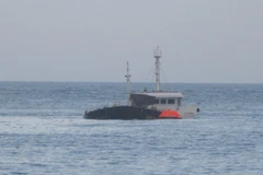 Ảnh minh họa. (Nguồn: TTXVN)