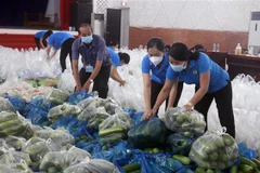 Công chức, viên chức Liên đoàn Lao động tỉnh Kiên Giang phân loại, đóng gói rau, củ, quả chuẩn bị gửi đi hỗ trợ tỉnh bạn. (Ảnh: Lê Huy Hải/TTXVN)