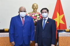 Bộ trưởng Bộ Ngoại giao Bùi Thanh Sơn và Đại sứ Cuba tại Việt Nam Orlando Nicolas Hermandez Guillen. (Ảnh: TTXVN)