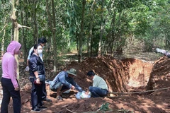 Hố chôn 138 con lợn chết trong rừng cao su. (Ảnh: B.A)