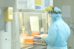 Xét nghiệm COVID-19. (Ảnh: Minh Quyết/TTXVN)