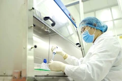 Ảnh minh họa. (Nguồn: TTXVN)