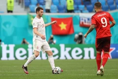 Cờ đỏ sao vàng của Việt Nam trên khán đài sân vận động Gazprom Arena. (Nguồn: Getty Images)