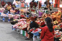 Cảnh tượng ế ẩm vắng khách tại các cửa hàng hoa năm nay. (Ảnh: Thành Đạt/TTXVN)