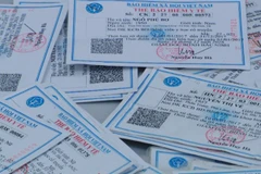 Thẻ bảo hiểm y tế. (Ảnh: PV/Vietnam+)