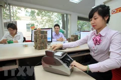 Ảnh minh họa. (Ảnh: Trần Việt/TTXVN)