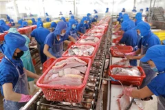 Chế biến cá tra xuất khẩu. (Ảnh: TTXVN)