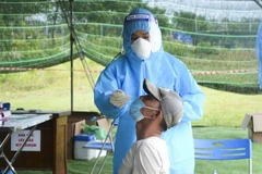 Lấy mẫu xét nghiệm COVID-19. (Nguồn: TTXVN)