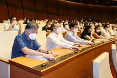 Đại biểu Quốc hội tỉnh Hưng Yên biểu quyết thông qua Nghị quyết về chủ trương đầu tư Chương trình mục tiêu quốc gia xây dựng nông thôn mới giai đoạn 2021-2025. (Ảnh: Phạm Kiên/TTXVN)