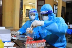 Lấy mẫu xét nghiệm SARS-CoV-2. (Ảnh: TTXVN)