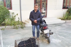 Đối tượng Nguyễn Xuân Đức cùng cá thể gấu. (Ảnh: TTXVN phát)