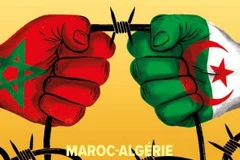 Ảnh minh họa. (Nguồn: jeuneafrique)