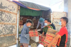 Chuyến xe ân tình đầu tiên của người dân Thạch Hà chuẩn bị xuất phát vào miền Nam. (Ảnh: Hoàng Ngà/TTXVN)