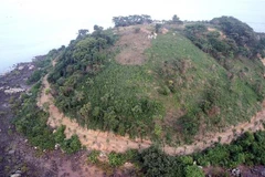 Hiện trạng rừng bị chặt phá, san gạt đất làm đường. (Ảnh: TTXVN phát)