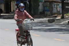 Ảnh minh họa. (Nguồn: TTXVN)