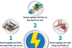 Ba nhóm doanh nghiệp khó khăn do COVID-19 được giảm tiền điện.