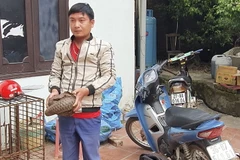 Đối tượng Đào Huy Thanh và cá thể tê tê bị lực lượng Công an bắt giữ. (Ảnh: TTXVN phát)