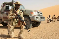 Lực lượng an ninh Chad tham gia một cuộc diễn tập. (Ảnh: Army photo/TTXVN)