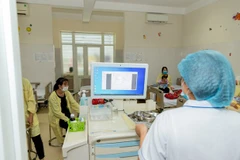 Ảnh minh họa. (Nguồn: Vietnam+)