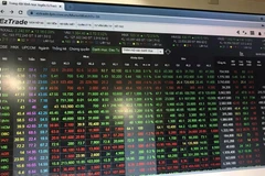 Ảnh minh họa. (Nguồn: Vietnam+)