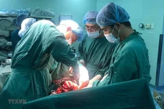 Ảnh minh họa. (Nguồn: TTXVN)