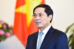 Bộ trưởng Bộ Ngoại giao Bùi Thanh Sơn. (Nguồn: TTXVN)