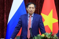 Bộ trưởng Ngoại giao Bùi Thanh Sơn. (Ảnh: Trần Hiếu/TTXVN)