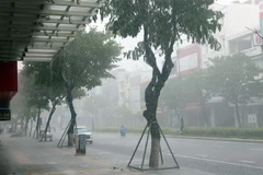 Mưa lớn xảy ra trên địa bàn thành phố Đà Nẵng do bão số 5 gây ra. (Ảnh: Trần Lê Lâm/TTXVN)