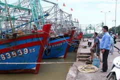 Nhiều tàu thuyền đã về nơi trú bão an toàn. (Ảnh: Nguyễn Nam/TTXVN)