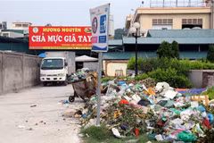 Rác được tập kết tạm ở chợ Hạ Long. (Ảnh: TTXVN)