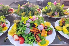 Món gỏi rau ngũ sắc được các đầu bếp của Chi hội Đầu bếp Lâm Đồng chế biến. (Nguồn: Thoibaotaichinhvietnam.vn)