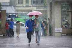 Ảnh minh họa. (Nguồn: TTXVN)