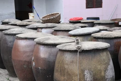 Cá đưa về được ủ với muối, phơi nắng. (Ảnh: Bích Hà-Thu Hoài/Vietnam+)