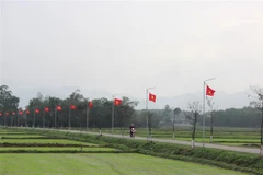 Màu xanh mới hồi sinh nơi vùng rốn lũ Cẩm Xuyên. (Ảnh: Hoàng Ngà/TTXVN)