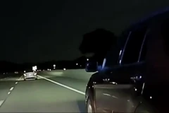 Phẫn nộ với video cảnh sát Mỹ đâm đụng khiến xe 'bà bầu' bị lật